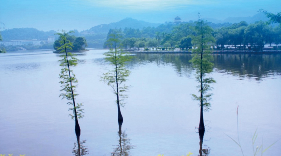 东莞风景11